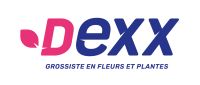 Logo DEXX