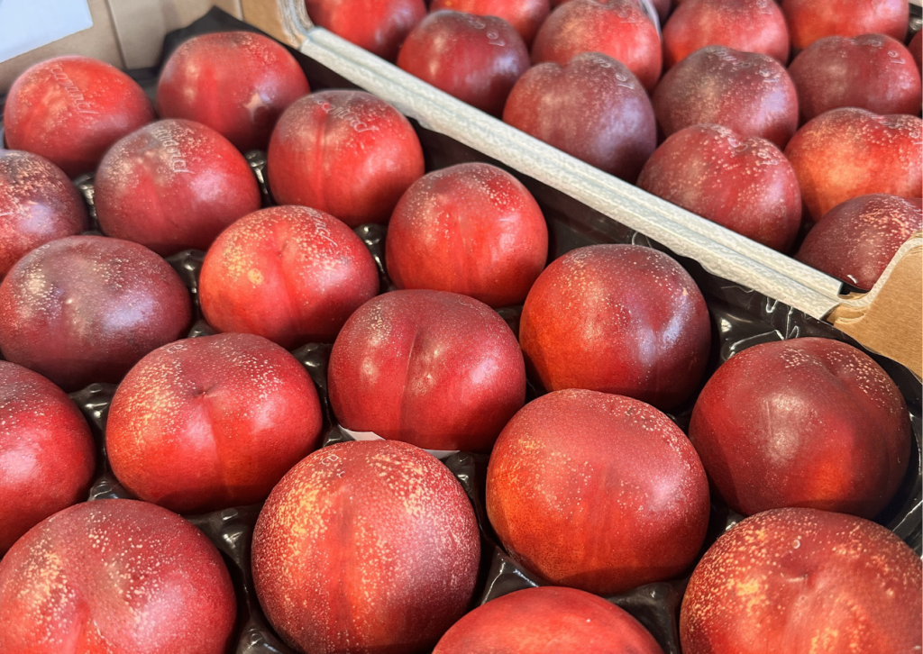 fruits de l'été