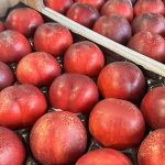 fruits de l'été